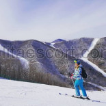 escort_stamford_ida_006